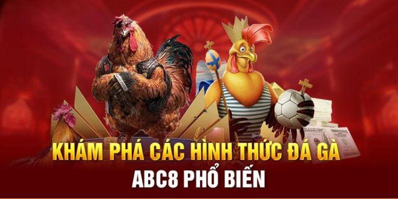 Đa dạng loại hình đá gà ABC8 cung cấp cho người chơi