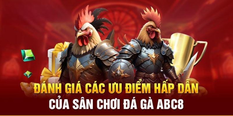 Những đặc điểm nổi bật có tại đá gà ABC8